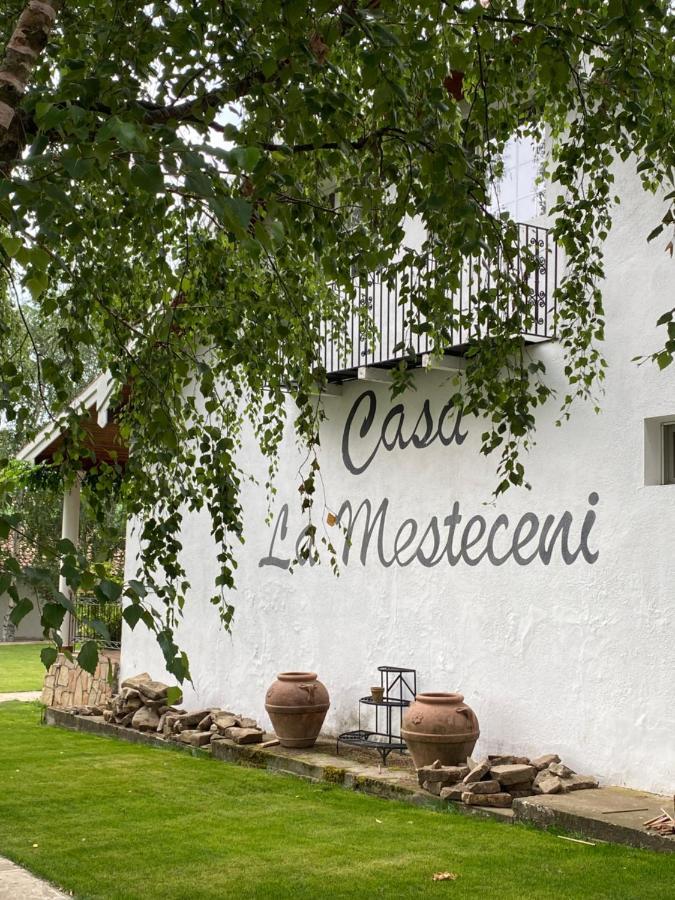 Country Club La Mesteceni Sebeş エクステリア 写真