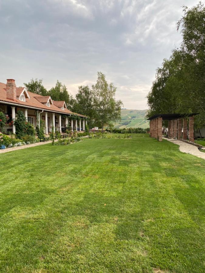 Country Club La Mesteceni Sebeş エクステリア 写真