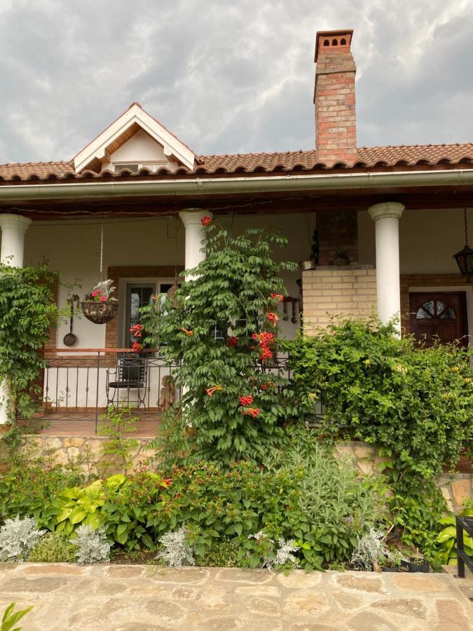 Country Club La Mesteceni Sebeş エクステリア 写真