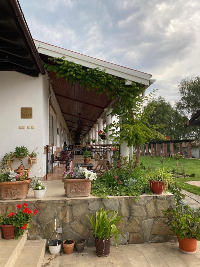 Country Club La Mesteceni Sebeş エクステリア 写真