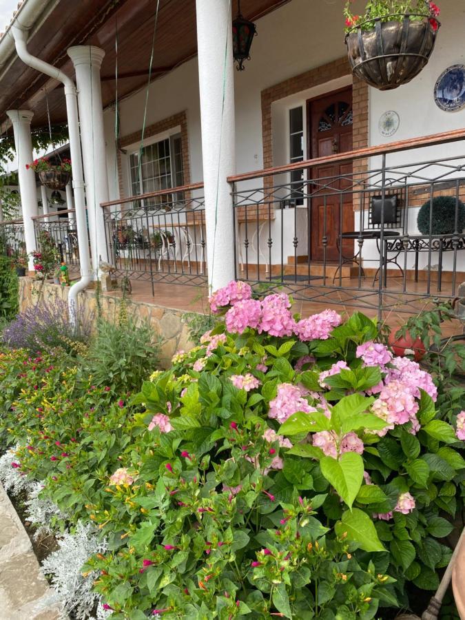 Country Club La Mesteceni Sebeş エクステリア 写真