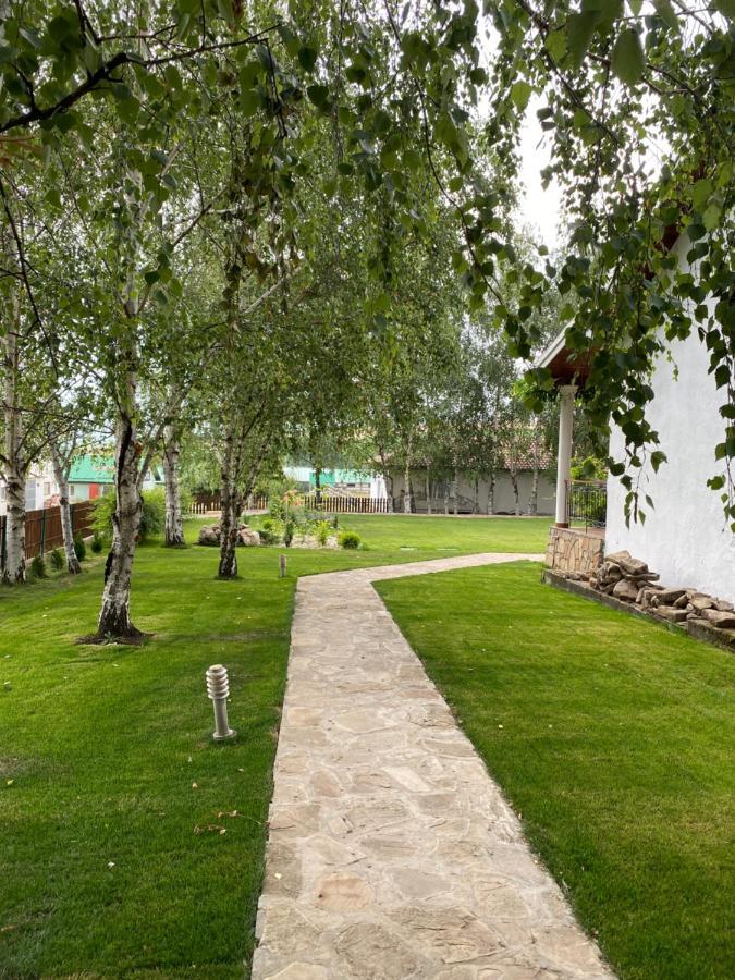 Country Club La Mesteceni Sebeş エクステリア 写真